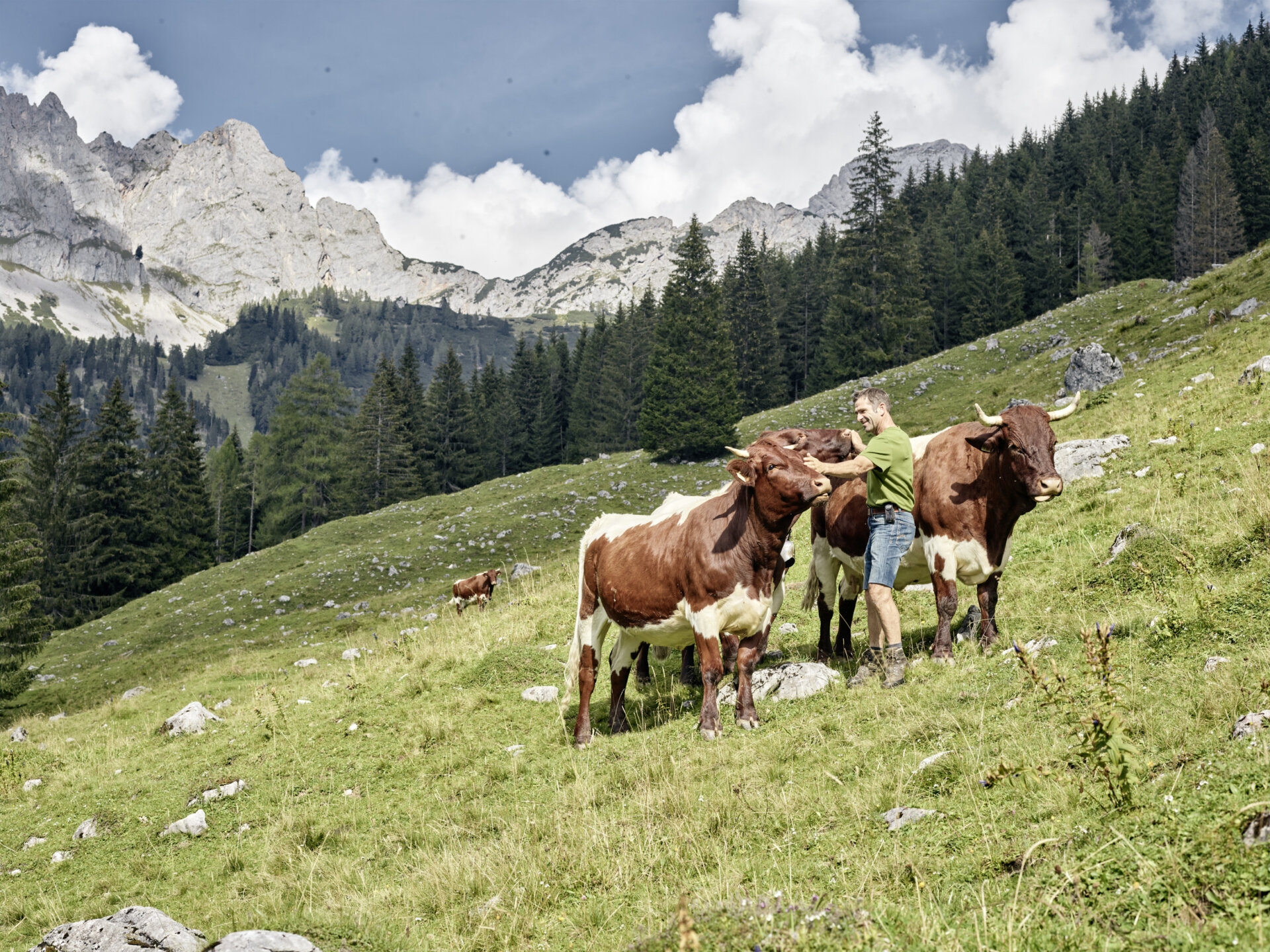 Hausmanskost, Müllerin, Archehof, Müller, Käserei, Fleischerei, Hühner, Eier, Alpin Cousine, Direktvermarkter, Landwirtschaft, Bauer, Bergbauer, Salzburg, Bergbauer, Almbauer, Almwanderung, Wandern, Berge, Landscapes, Alpin, Outdoorfotografie, Outdoorphotographie, Fotoshooting, Fotografie, Fotograf, Chris Rogl, Photograph, Shooting, Christian Rogl,Imkerei